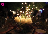 /album/fotogaleria-inicio/a16045-1330641539-4f4ffa837bb72-1-jpg/